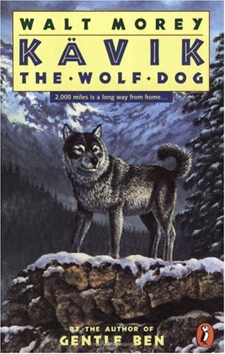 Kävik the Wolf Dog